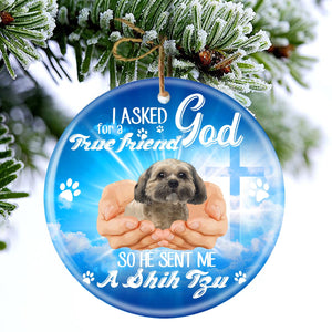 God Send Me A/An Shih Tzu Porcelain/Ceramic Ornament