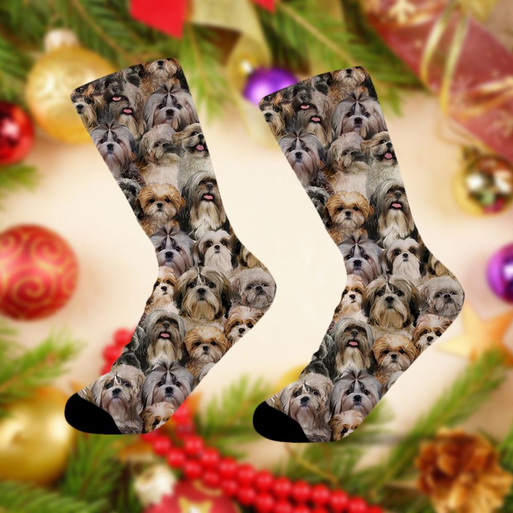 A Bunch Of Shih Tzus Socks