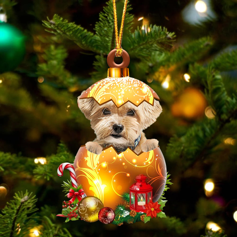 Shorkie In Golden Egg Christmas Ornament