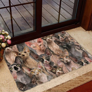 A Bunch Of Sphynx Cats Doormat