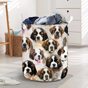 A Bunch Of St. Bernards Laundry Basket