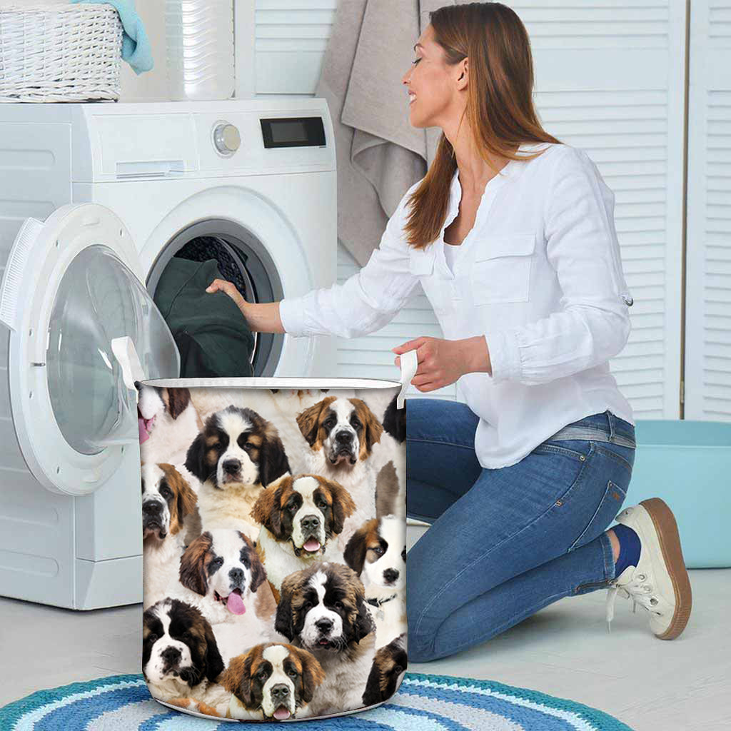 A Bunch Of St. Bernards Laundry Basket