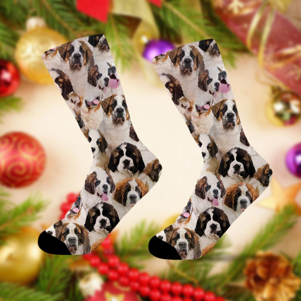 A Bunch Of St. Bernards Socks