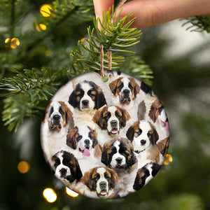 A Bunch Of St. Bernards Porcelain/Ceramic Ornament