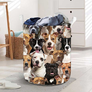 A Bunch Of Staffordshire Bull Terriers Laundry Basket