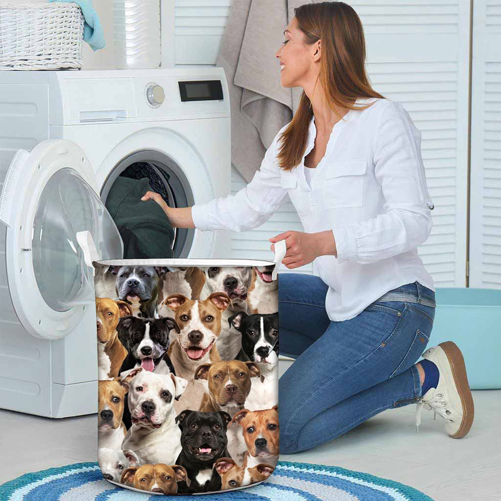 A Bunch Of Staffordshire Bull Terriers Laundry Basket