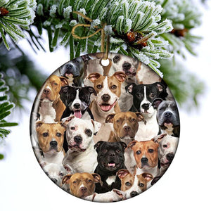 A Bunch Of Staffordshire Bull Terriers Porcelain/Ceramic Ornament