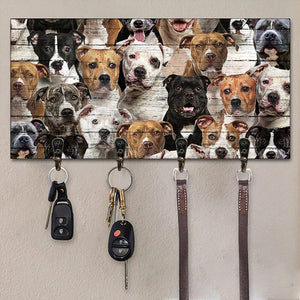A Bunch Of Staffordshire Bull Terriers Key Hanger