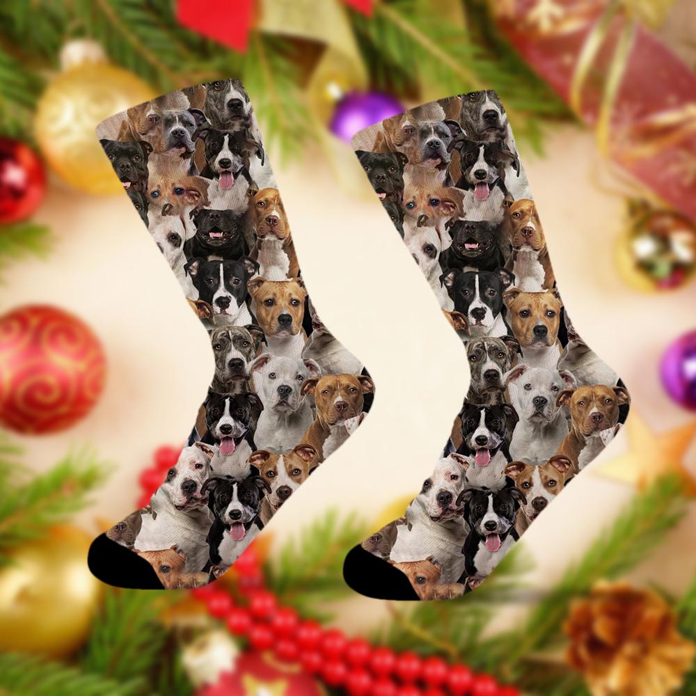 A Bunch Of Staffordshire Bull Terriers Socks
