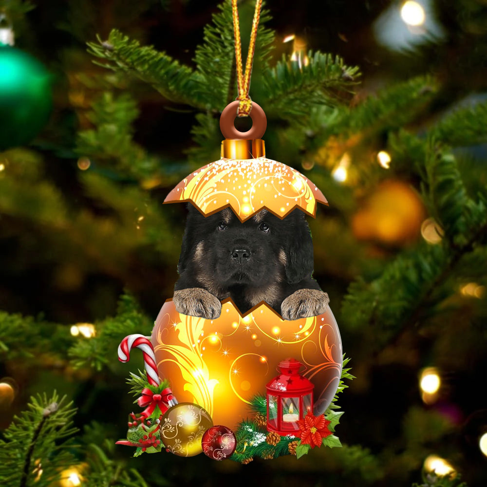 Tibetan Mastiff In Golden Egg Christmas Ornament