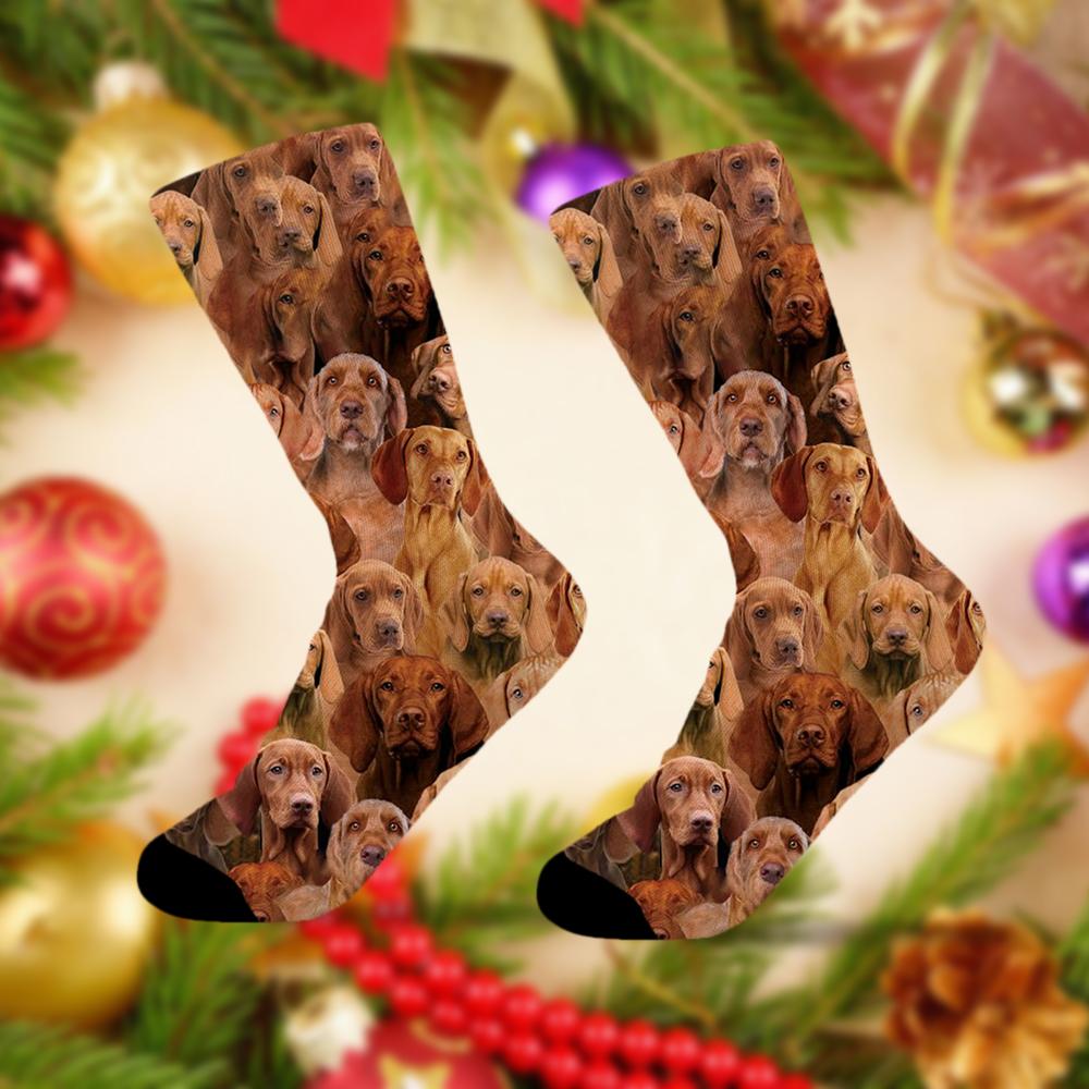 A Bunch Of Vizslas Socks