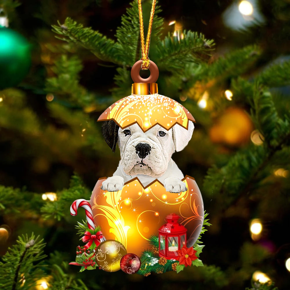 WHITE Boxer In Golden Egg Christmas Ornament
