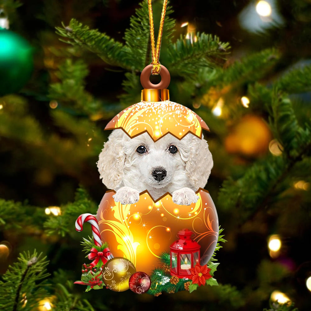 WHITE Toy Poodle In Golden Egg Christmas Ornament