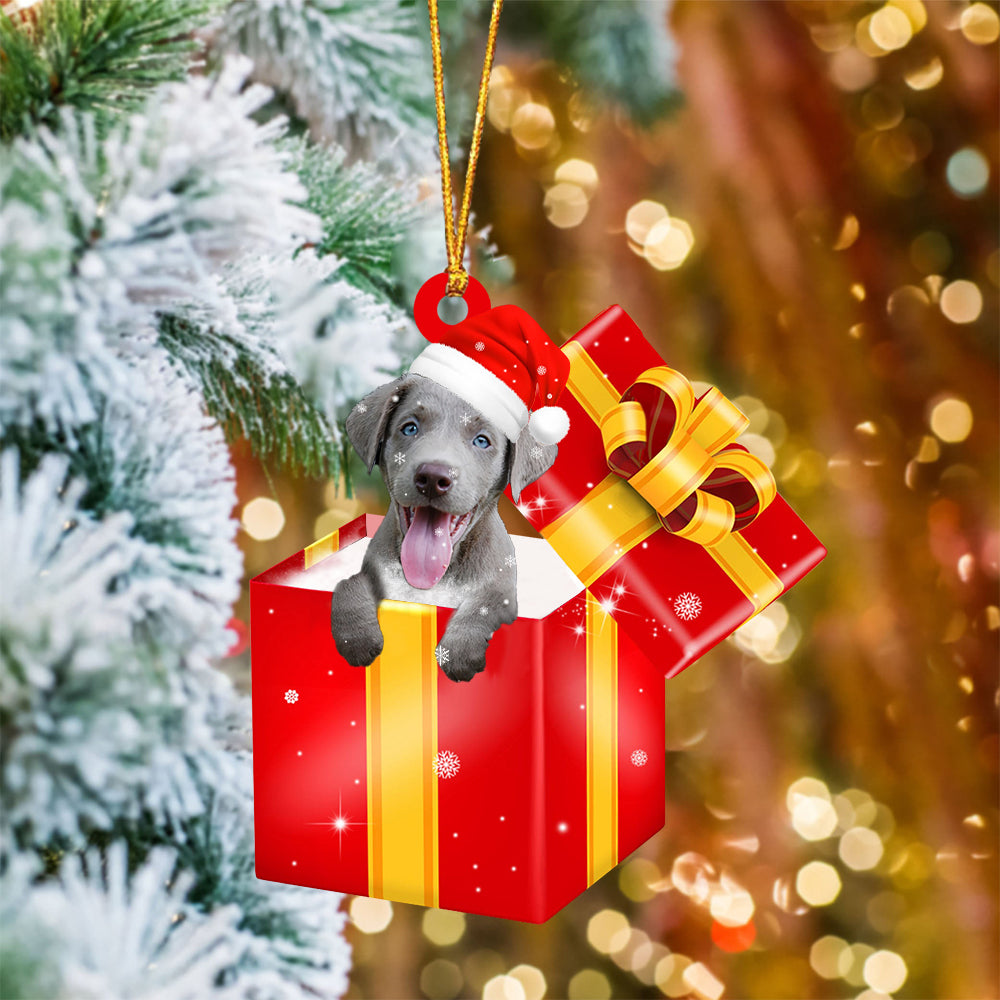 Weimaraner In Red Gift Box Christmas Ornament