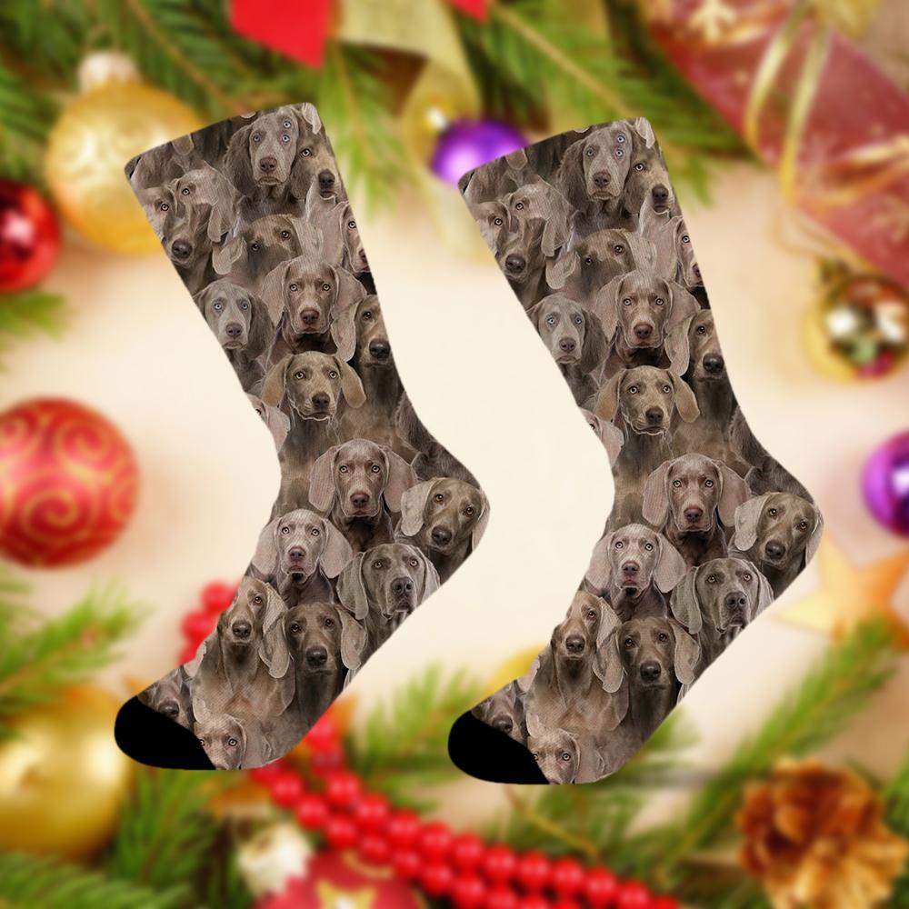 A Bunch Of Weimaraners Socks