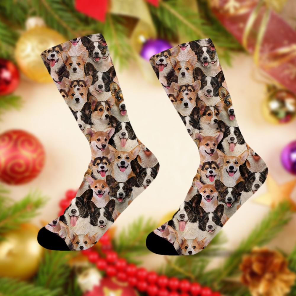 A Bunch Of Welsh Corgies Socks