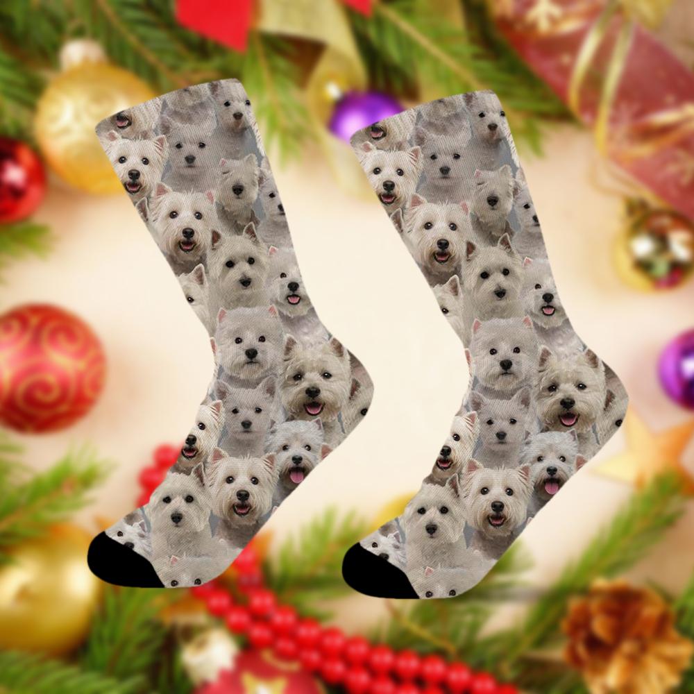 A Bunch Of West Highland White Terriers Socks