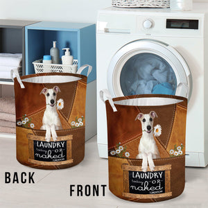 Whippet Laundry Today Or Naked Tomorrow Laundry Basket