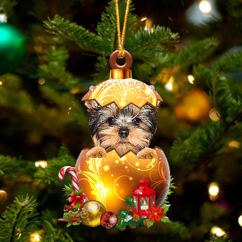 YorkShire Terrier .In Golden Egg Christmas Ornament