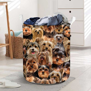 A Bunch Of Yorkshire Terriers Laundry Basket