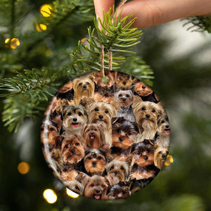 A Bunch Of Yorkshire Terriers Porcelain/Ceramic Ornament