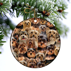 A Bunch Of Yorkshire Terriers Porcelain/Ceramic Ornament