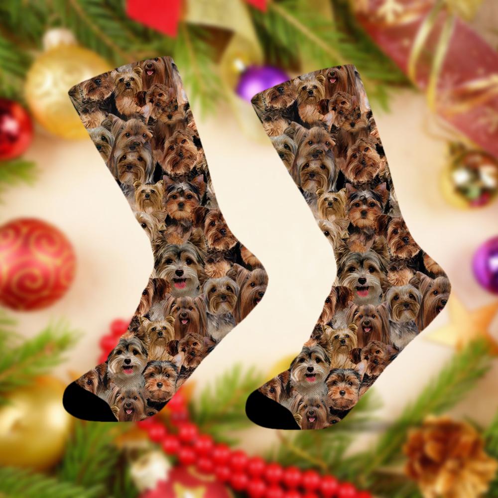 A Bunch Of Yorkshire Terriers Socks