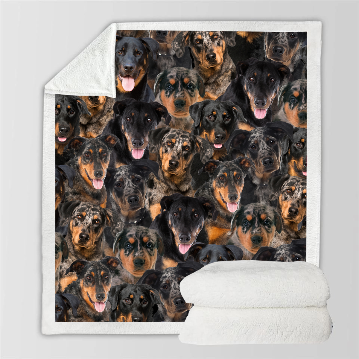 You Will Have A Bunch Of Beaucerons - Blanket V1