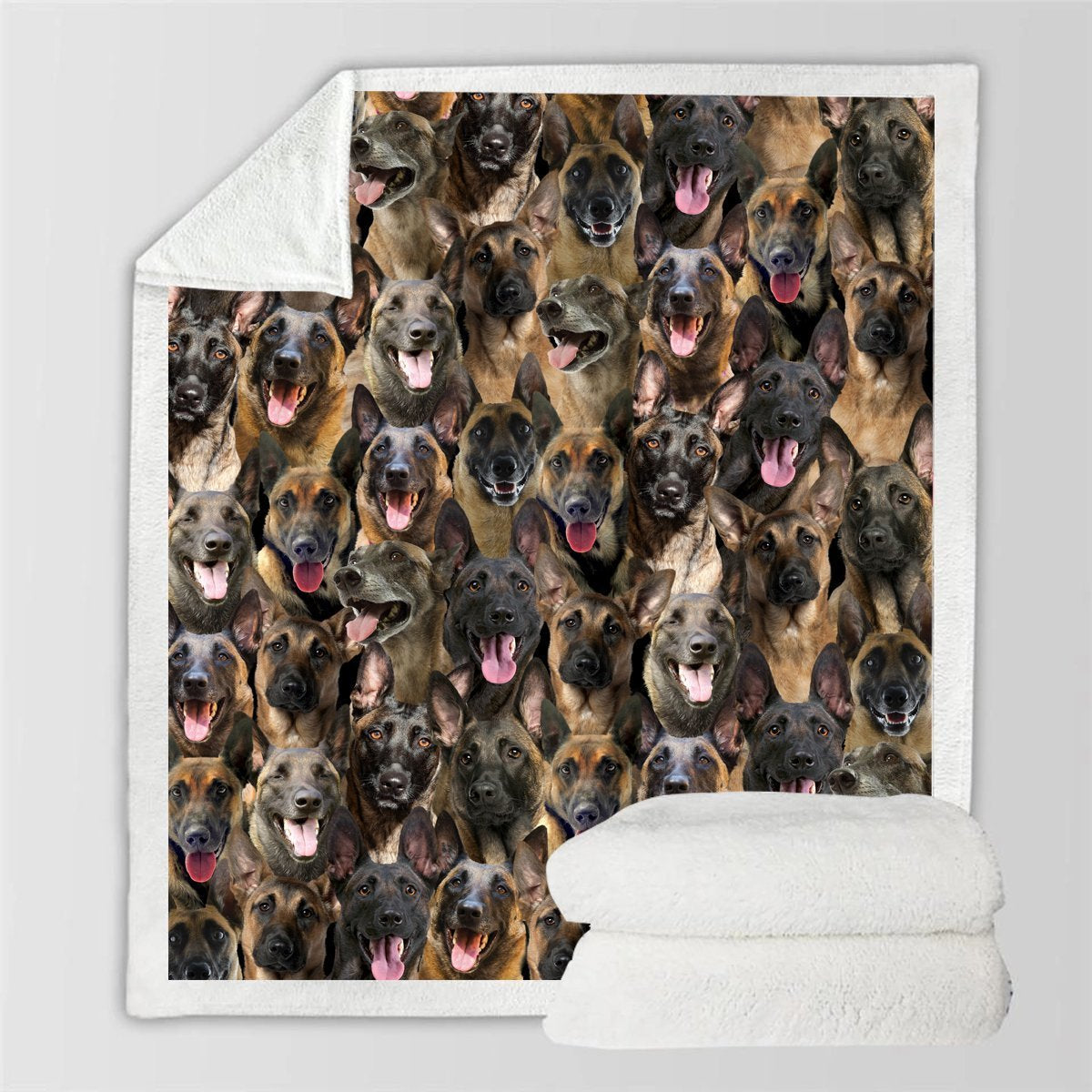 You Will Have A Bunch Of Belgian Malinois - Blanket V1