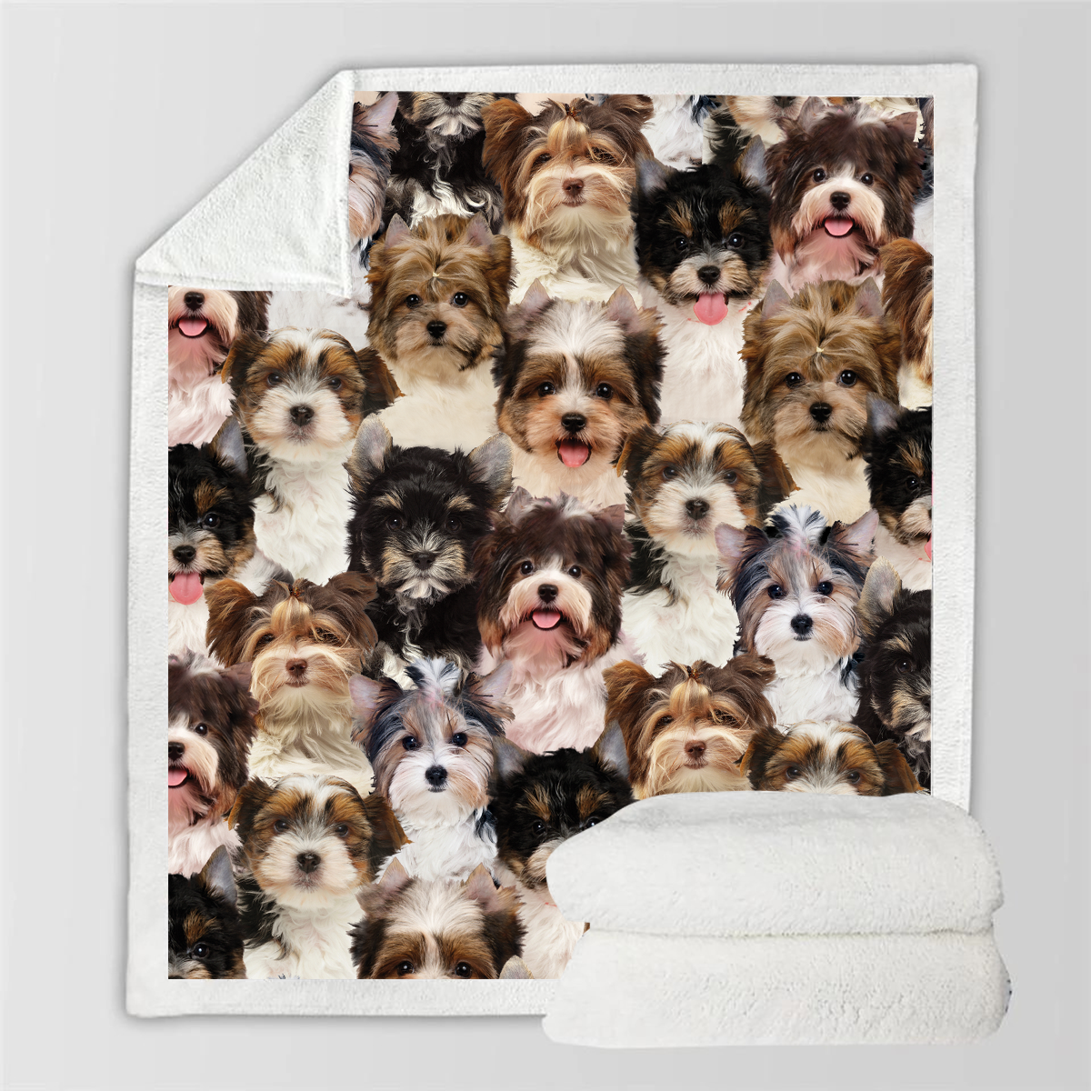 You Will Have A Bunch Of Biewer Terriers - Blanket V1