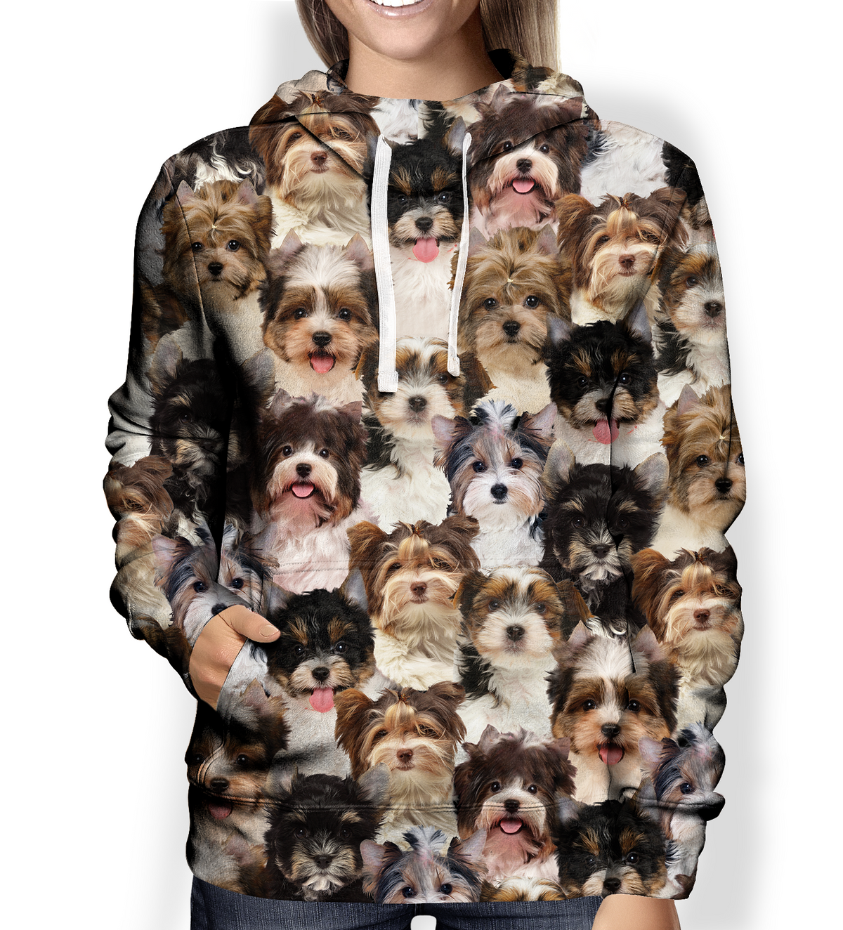 You Will Have A Bunch Of Biewer Terriers - Hoodie V1