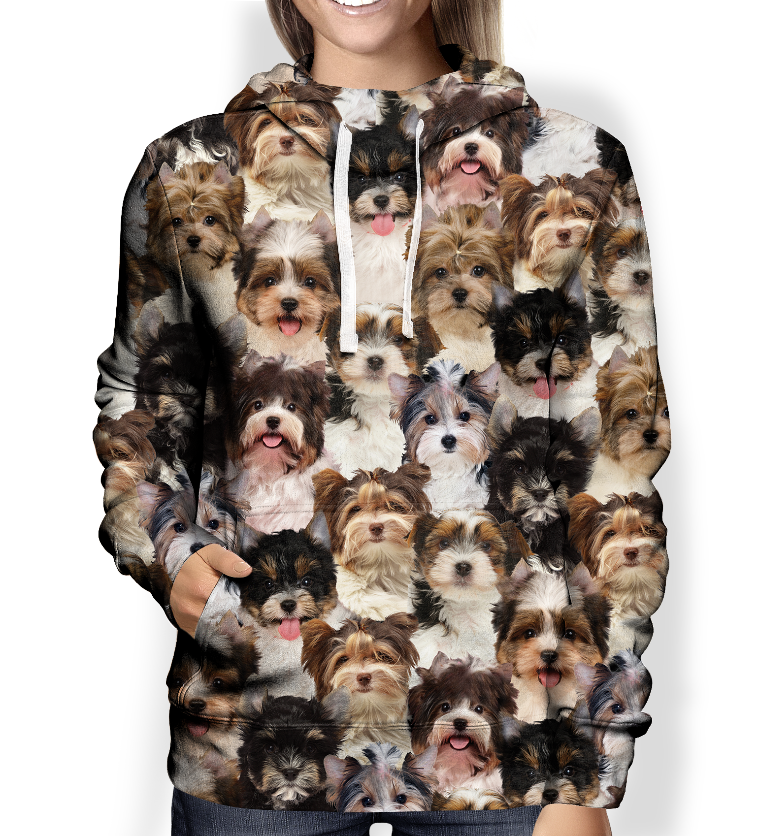 You Will Have A Bunch Of Biewer Terriers - Hoodie V1