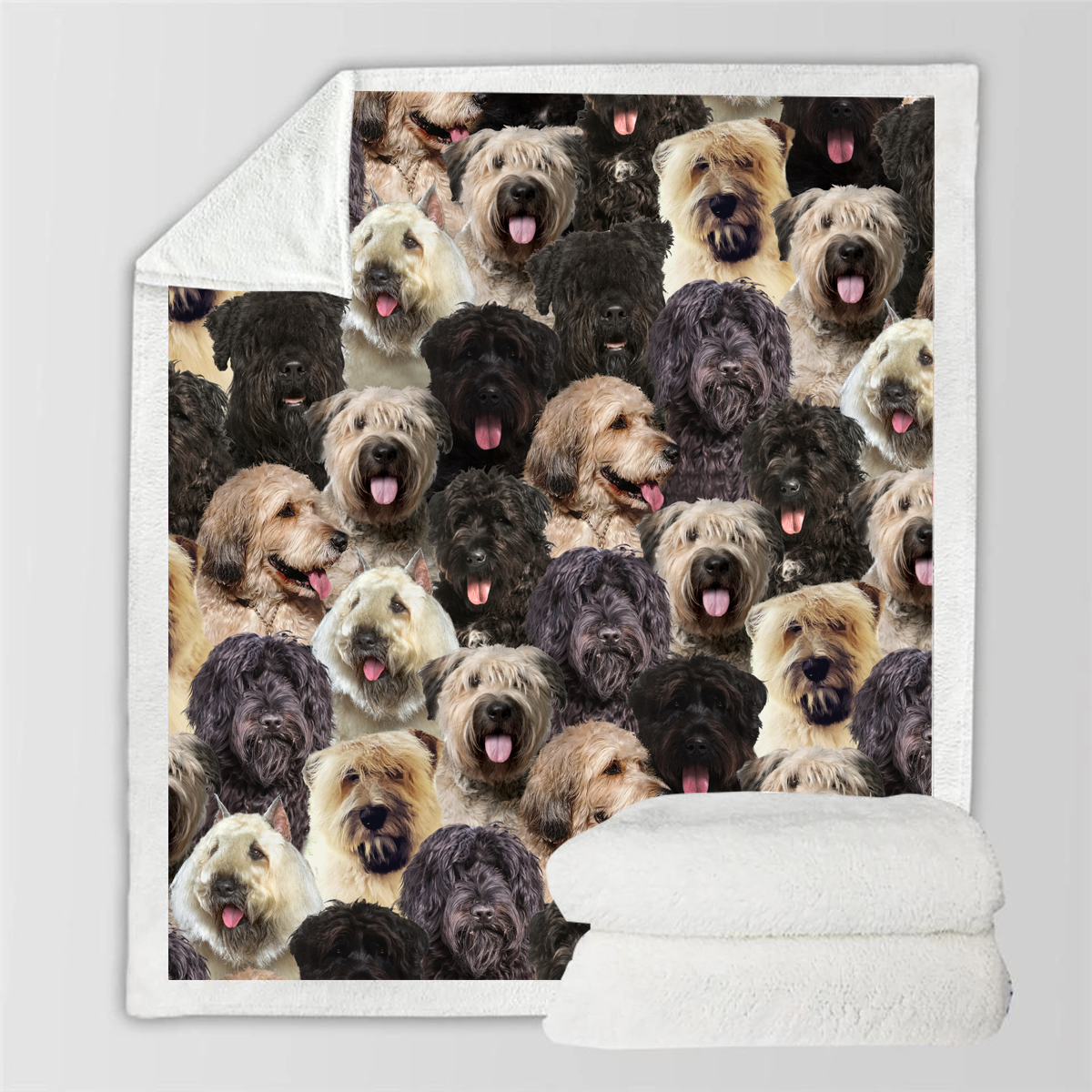 You Will Have A Bunch Of Bouvier Des Flandres - Blanket V1