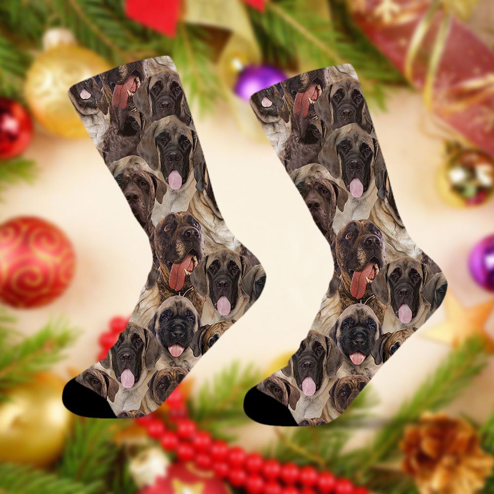 A Bunch Of English Mastiffs Socks