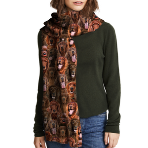You Will Have A Bunch Of Irish Setters - Scarf V1