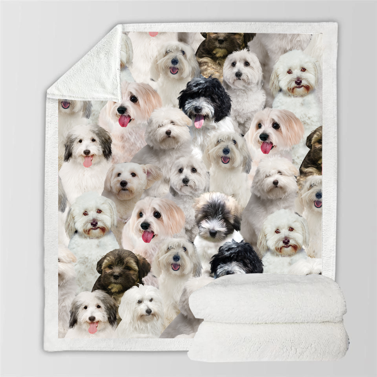 You Will Have A Bunch Of Coton De Tulears - Blanket V1