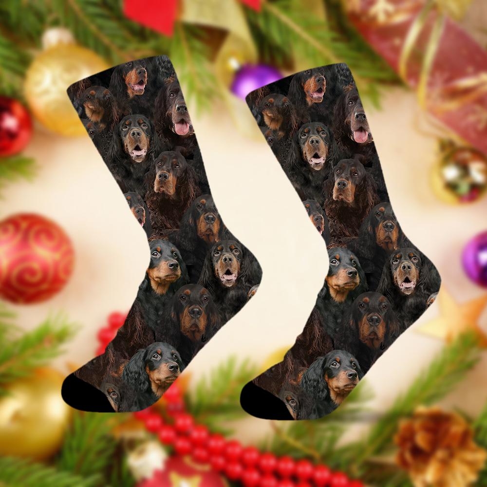 A Bunch Of Gordon Setters Socks