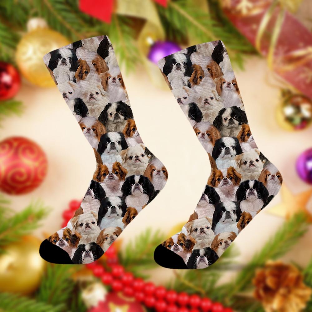 A Bunch Of Japanese Chins Socks