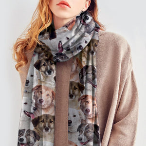 You Will Have A Bunch Of Aidies - Scarf V1