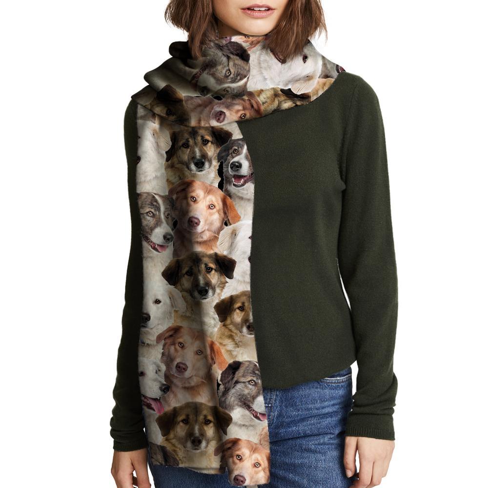 You Will Have A Bunch Of Aidies - Scarf V1