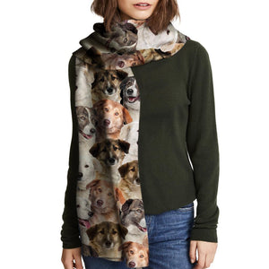 You Will Have A Bunch Of Aidies - Scarf V1