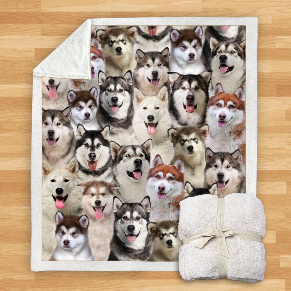 You Will Have A Bunch Of Alaskan Malamutes - Blanket V1