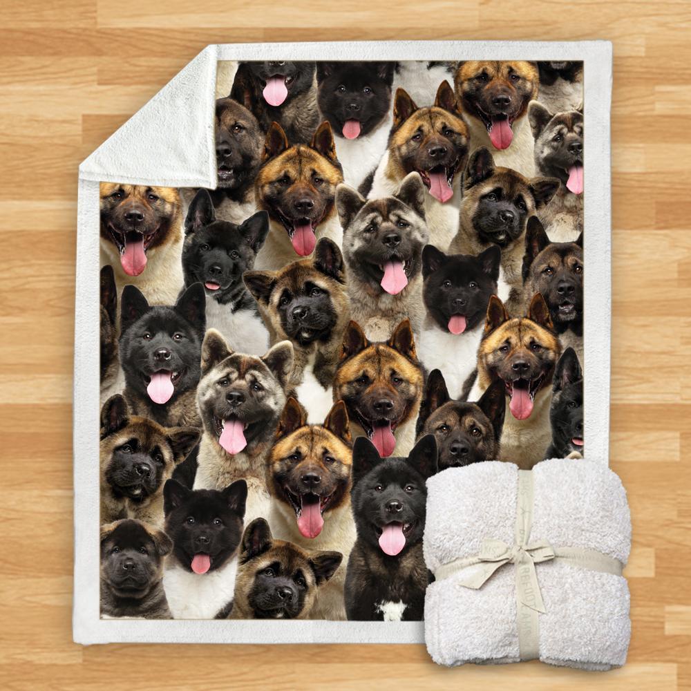You Will Have A Bunch Of American Akitas - Blanket V1