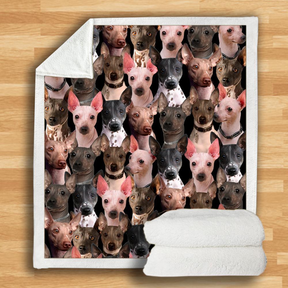 You Will Have A Bunch Of American Hairless Terriers - Blanket V1