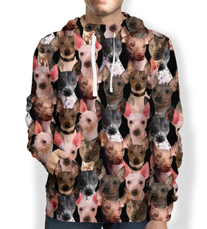 You Will Have A Bunch Of American Hairless Terriers - Hoodie V1