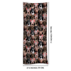 You Will Have A Bunch Of American Hairless Terriers - Scarf V1
