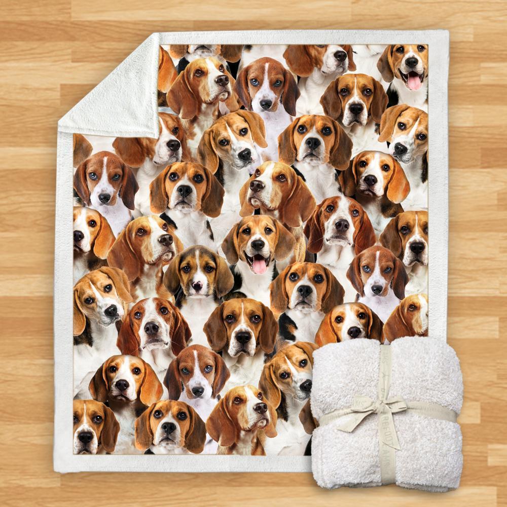 You Will Have A Bunch Of Beagles - Blanket V1