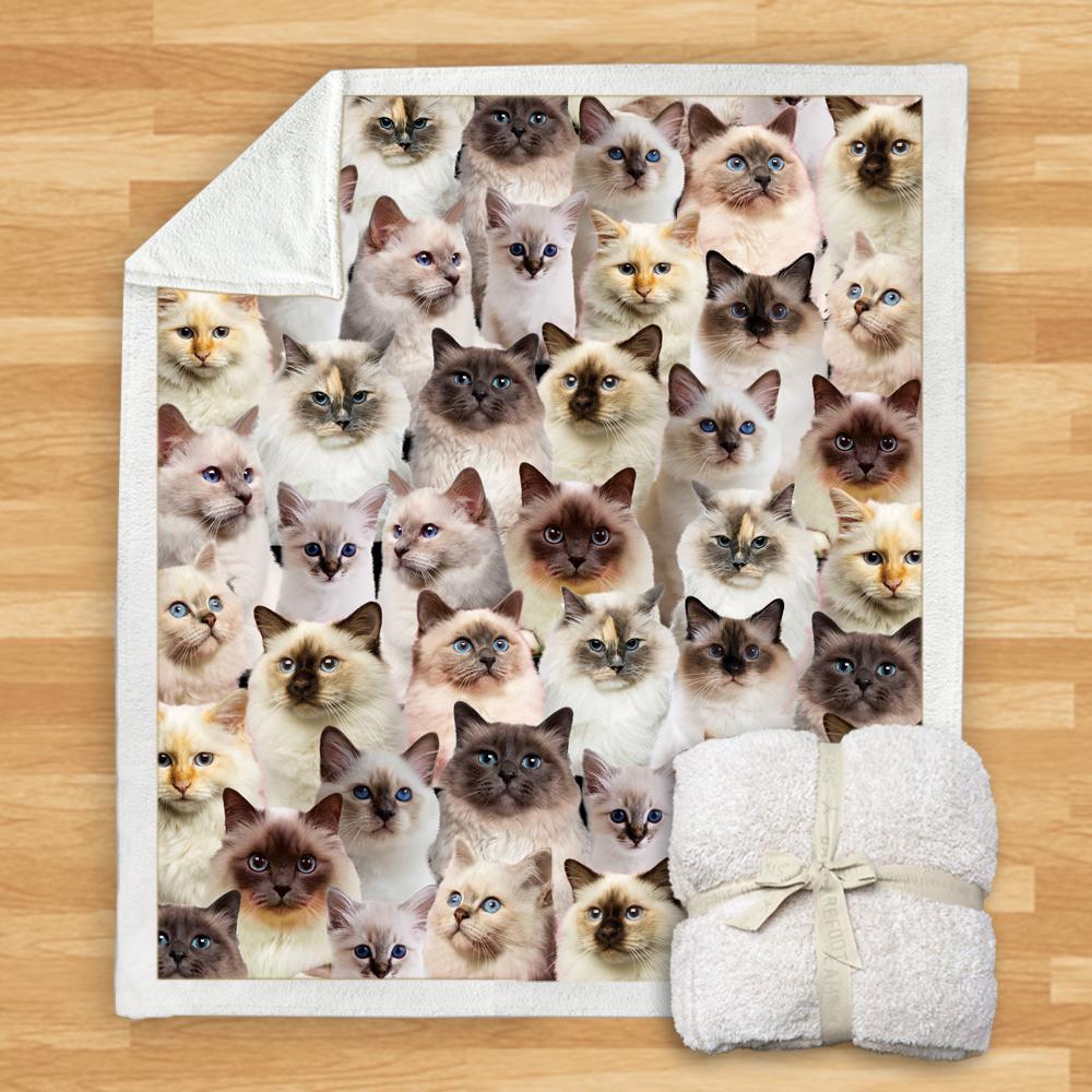 You Will Have A Bunch Of Birman Cats - Blanket V1