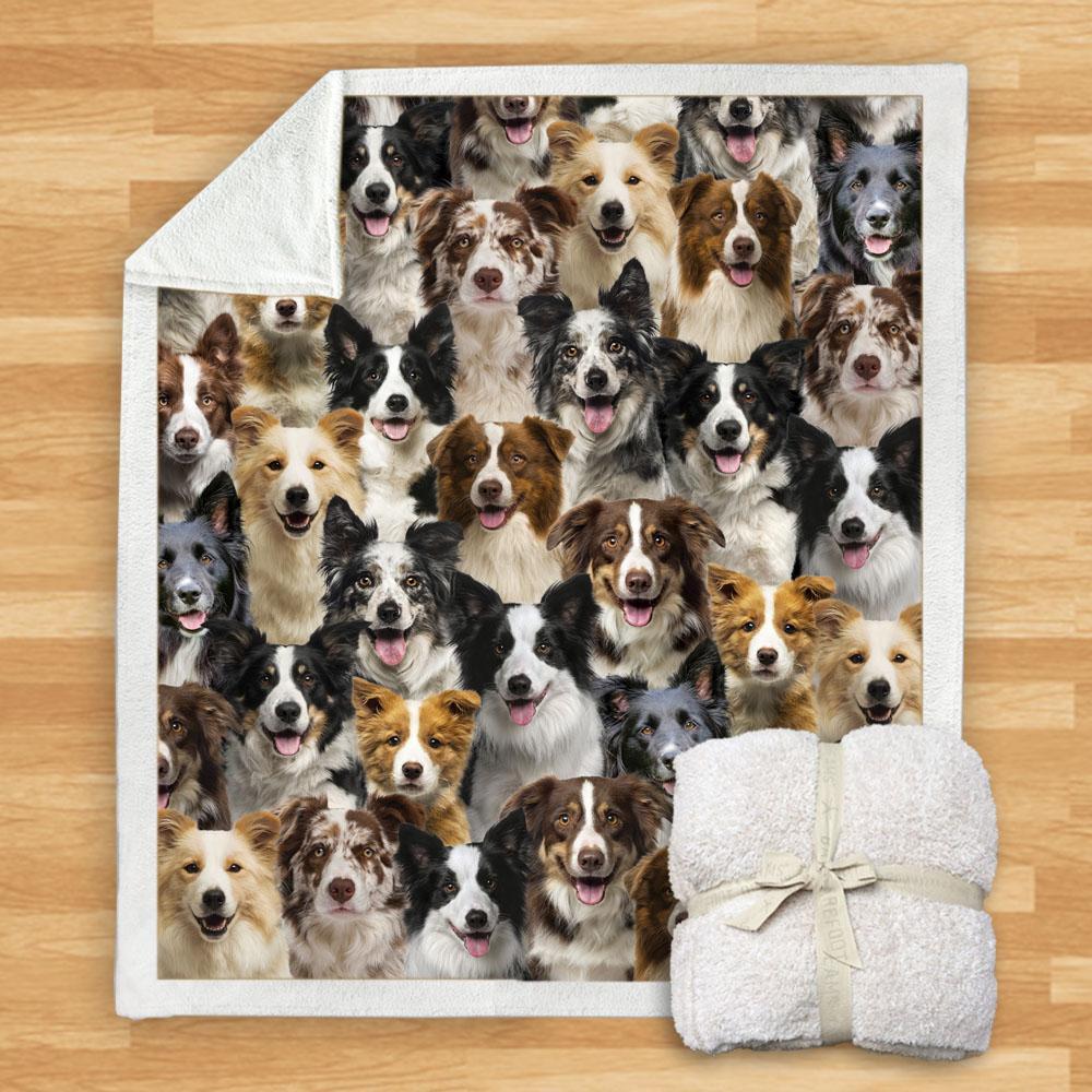 You Will Have A Bunch Of Border Collies - Blanket V1