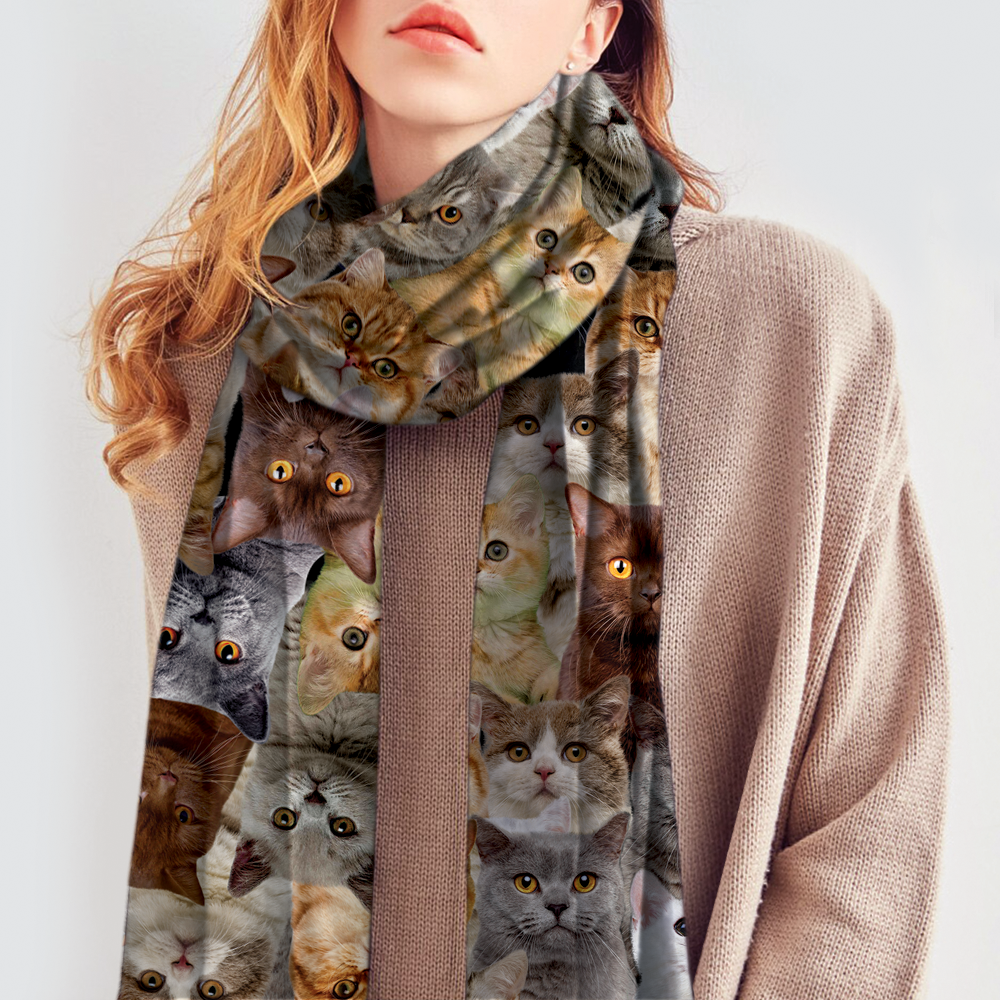 You Will Have A Bunch Of British Shorthair Cats - Scarf V1